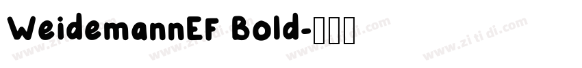 WeidemannEF Bold字体转换